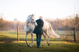 Cursus Paard & Gedrag